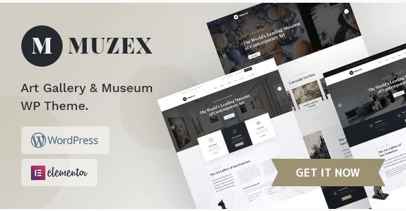 Muzex Non Profit Theme