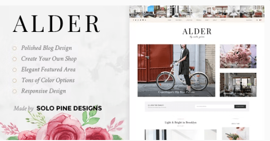 Alder Blog Magazine Theme