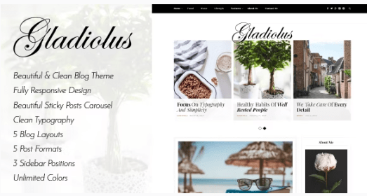Gladiolus Blog Magazine Theme