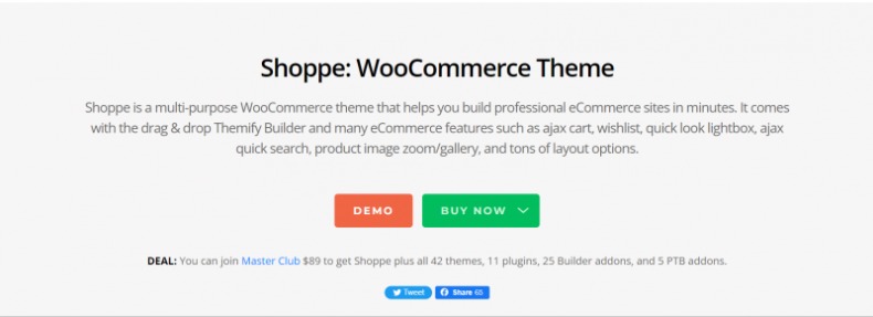 Shoppe Best WordPress Newsletter Themes