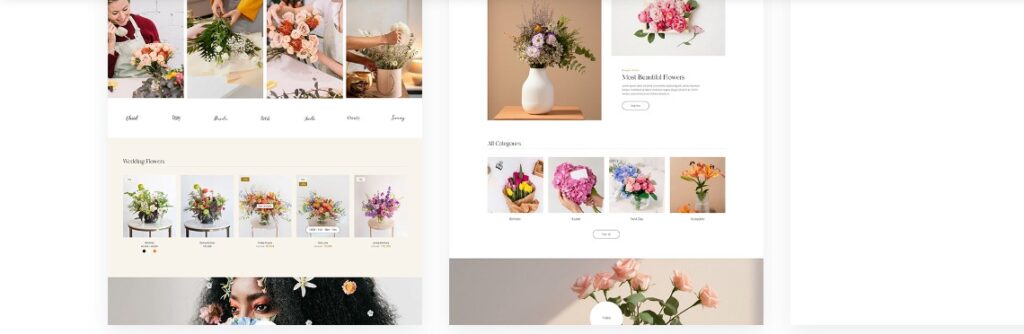 Dasly E-Commerce Theme Features 