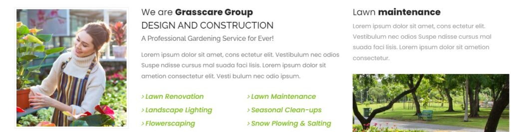 GrassCare Corporate Theme Features 