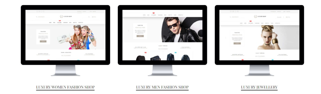 Luxury E-Commerce Theme Features 